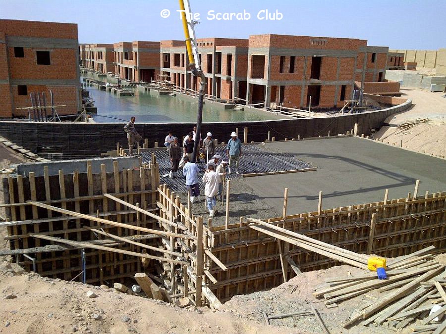 Scarab Club 100